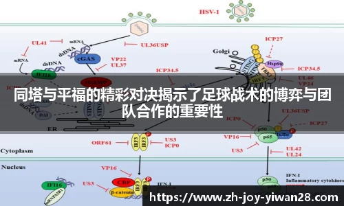 同塔与平福的精彩对决揭示了足球战术的博弈与团队合作的重要性